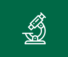 Curriculum Icon